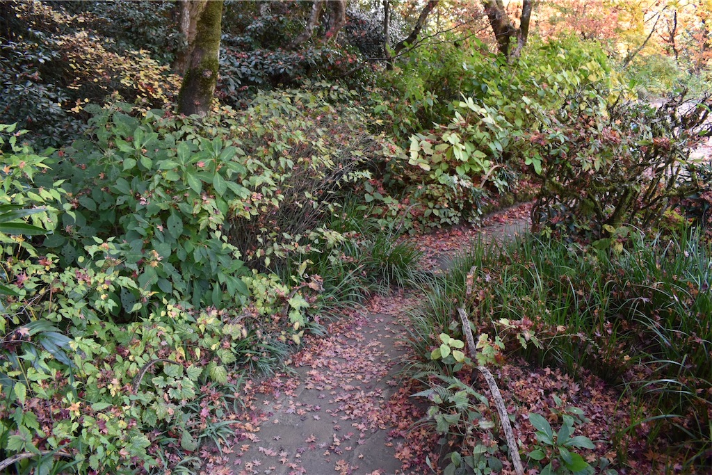 f:id:matsumotoyusuke:20210302190617j:image f:id:matsumotoyusuke:20210302190617j:image
