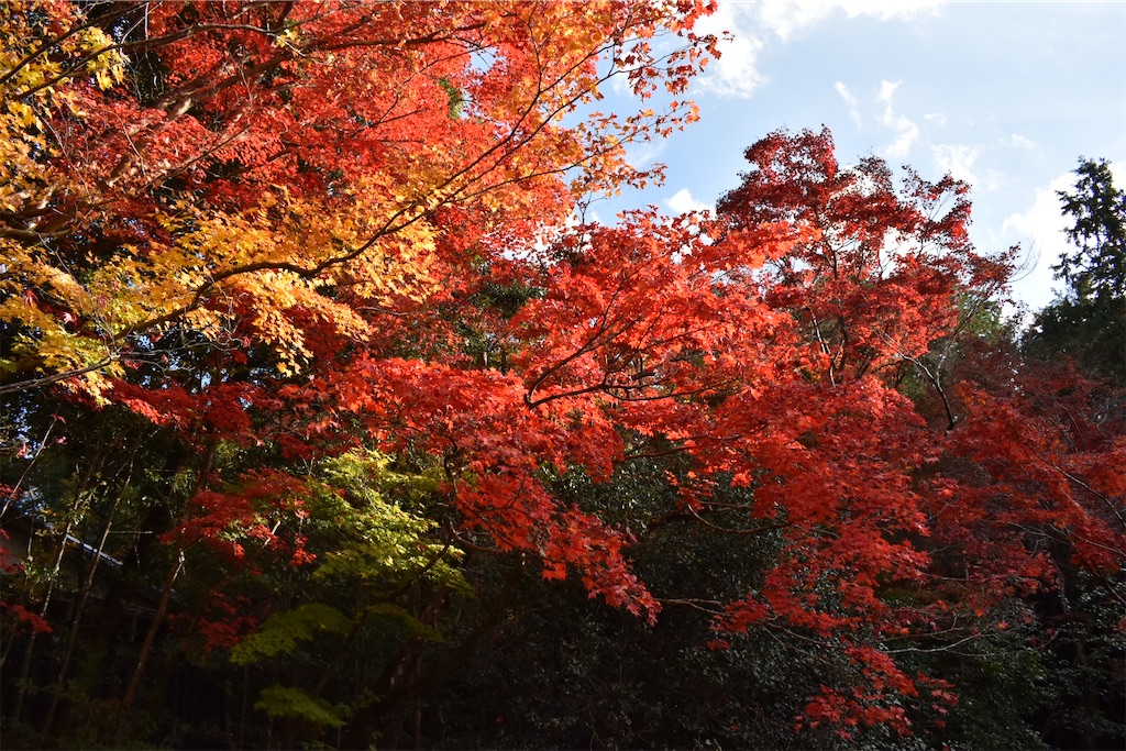 f:id:matsumotoyusuke:20210302190650j:image f:id:matsumotoyusuke:20210302190650j:image