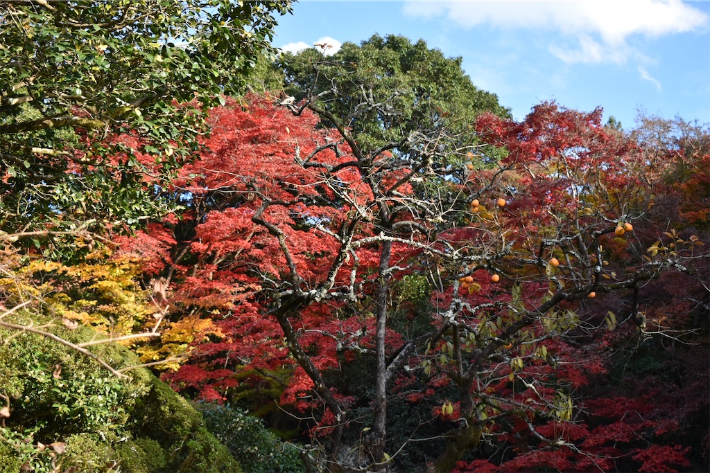 f:id:matsumotoyusuke:20210302190657j:image f:id:matsumotoyusuke:20210302190657j:image