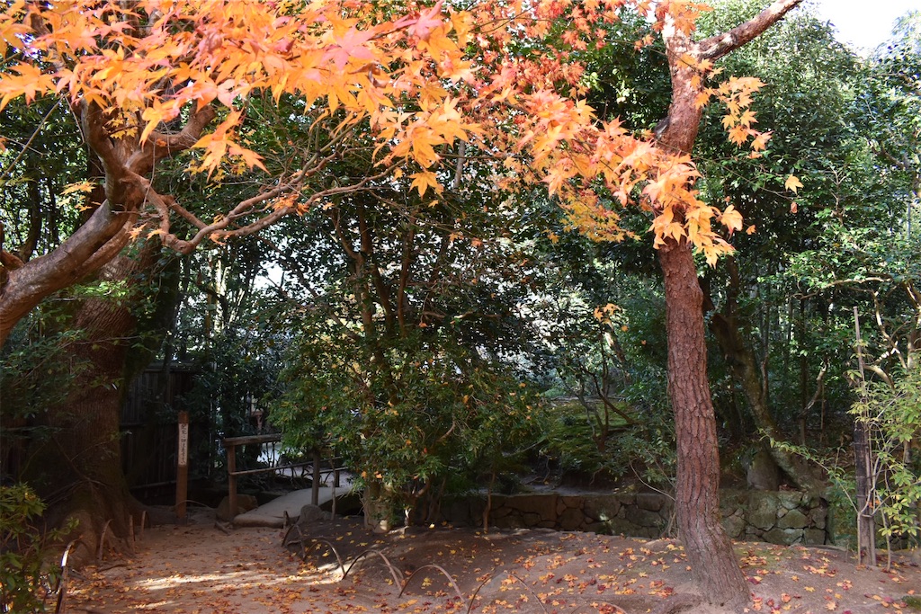 f:id:matsumotoyusuke:20210302190703j:image f:id:matsumotoyusuke:20210302190703j:image
