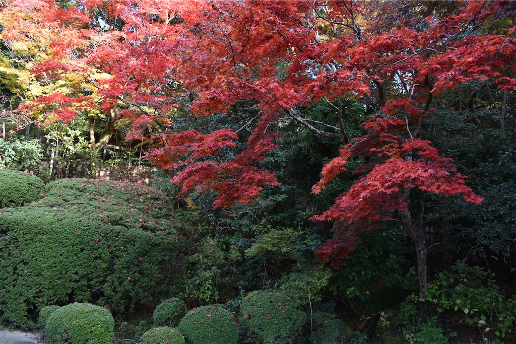 f:id:matsumotoyusuke:20210302190710j:image f:id:matsumotoyusuke:20210302190710j:image