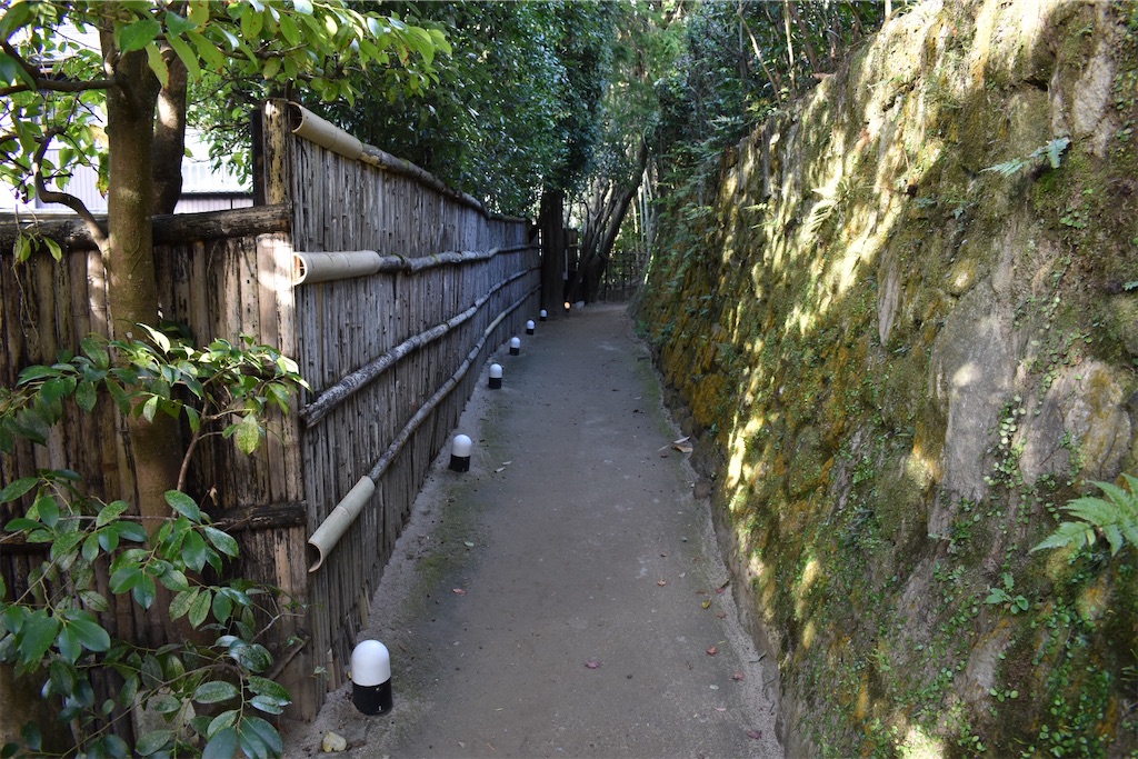f:id:matsumotoyusuke:20210302190716j:image f:id:matsumotoyusuke:20210302190716j:image