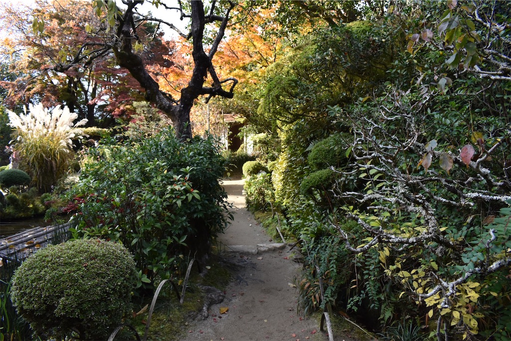 f:id:matsumotoyusuke:20210302190943j:image f:id:matsumotoyusuke:20210302190943j:image