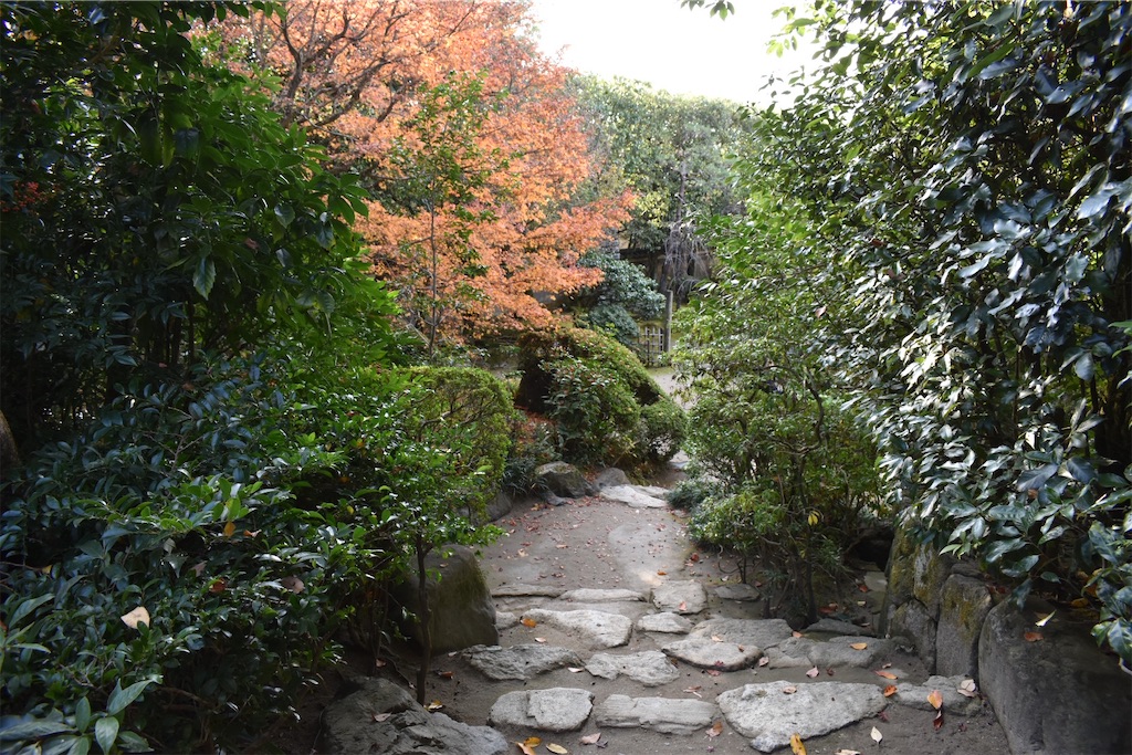 f:id:matsumotoyusuke:20210302191005j:image f:id:matsumotoyusuke:20210302191005j:image