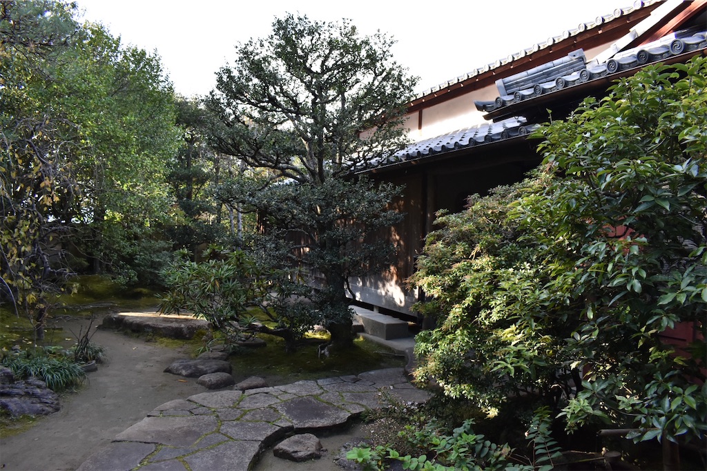 f:id:matsumotoyusuke:20210302191011j:image f:id:matsumotoyusuke:20210302191011j:image