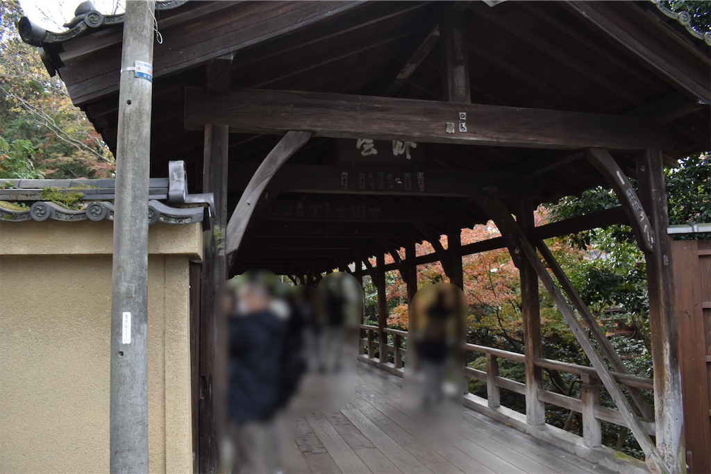 f:id:matsumotoyusuke:20210403184956j:image f:id:matsumotoyusuke:20210403184956j:image