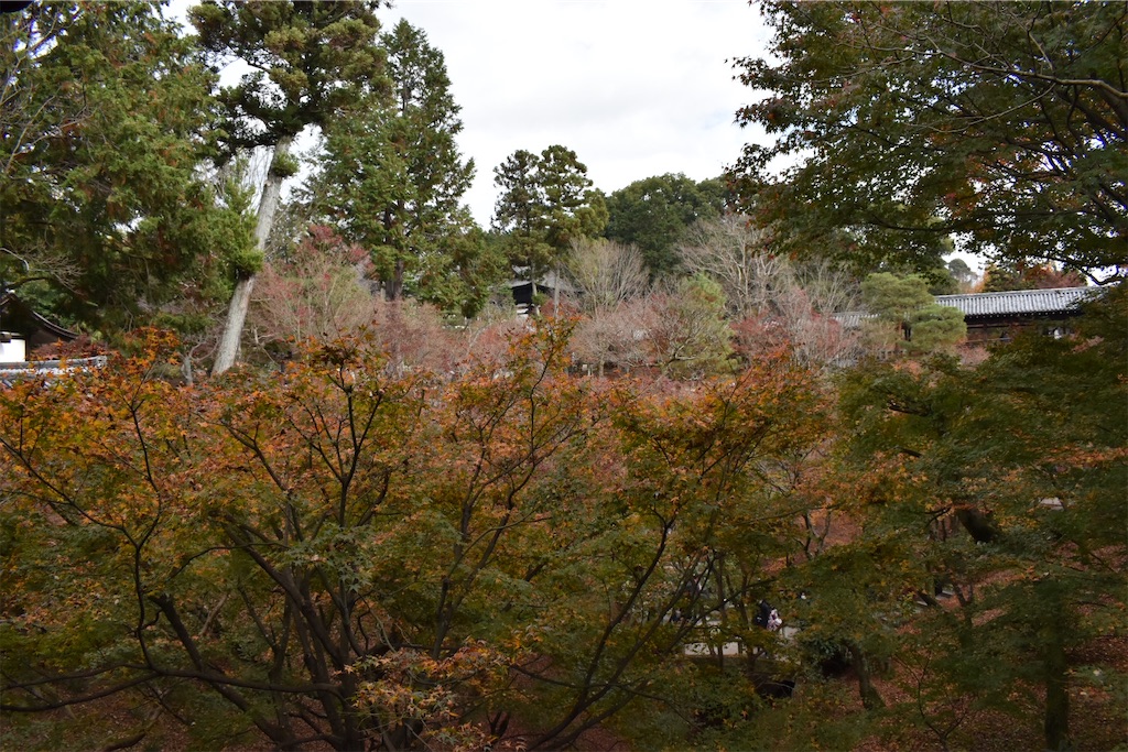f:id:matsumotoyusuke:20210403185106j:image f:id:matsumotoyusuke:20210403185106j:image