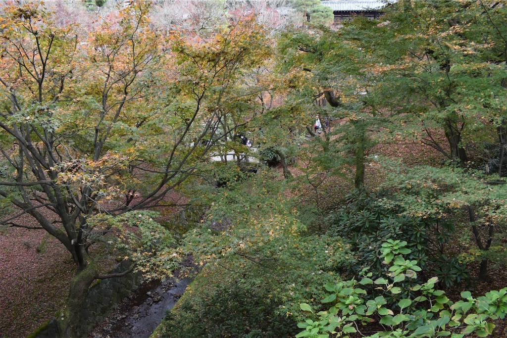 f:id:matsumotoyusuke:20210403185114j:image f:id:matsumotoyusuke:20210403185114j:image