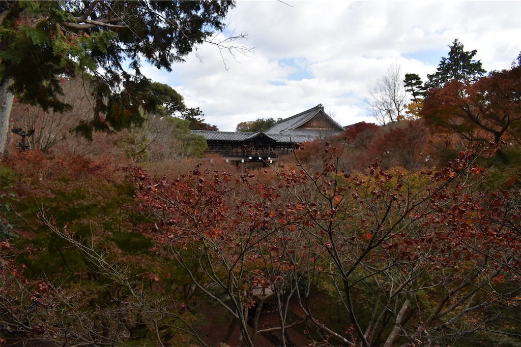 f:id:matsumotoyusuke:20210403185120j:image f:id:matsumotoyusuke:20210403185120j:image