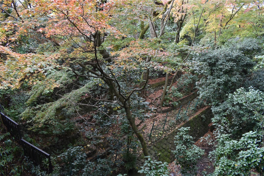 f:id:matsumotoyusuke:20210403185127j:image f:id:matsumotoyusuke:20210403185127j:image