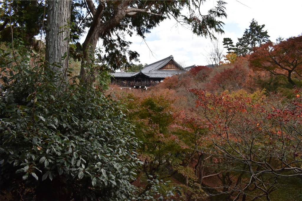 f:id:matsumotoyusuke:20210403185150j:image f:id:matsumotoyusuke:20210403185150j:image