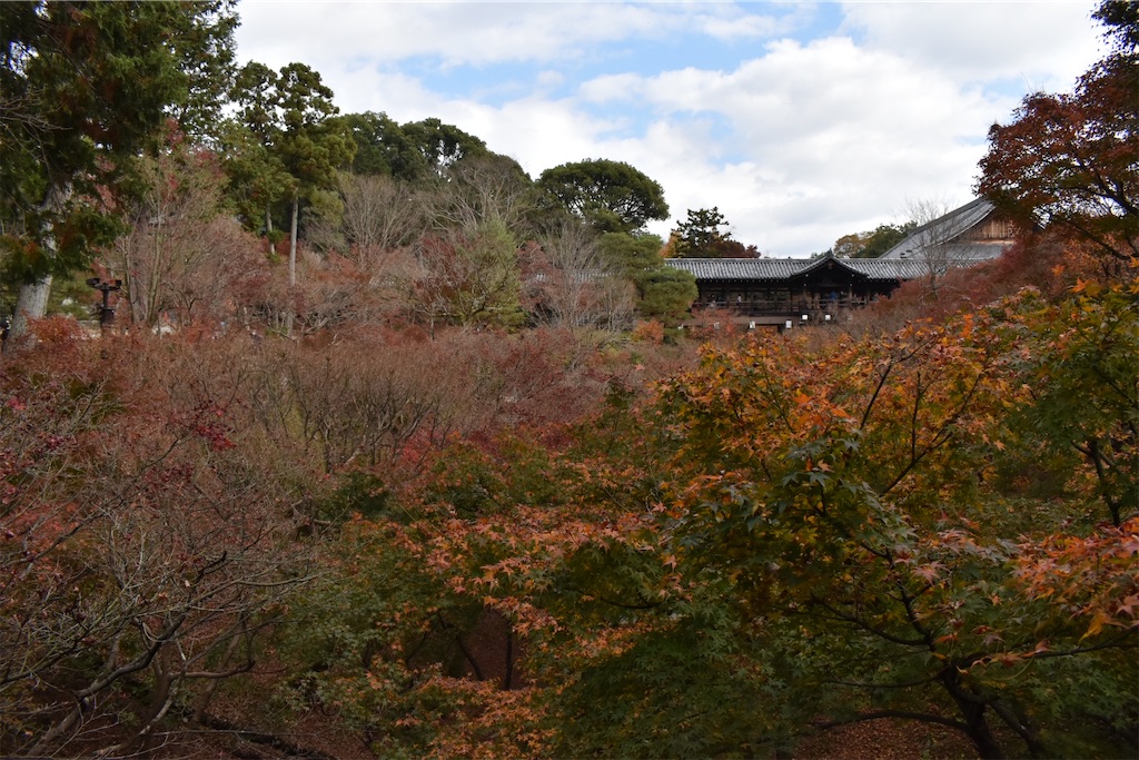 f:id:matsumotoyusuke:20210403185158j:image f:id:matsumotoyusuke:20210403185158j:image