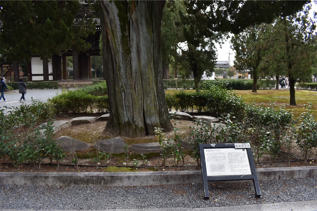 f:id:matsumotoyusuke:20210403185211j:image f:id:matsumotoyusuke:20210403185211j:image