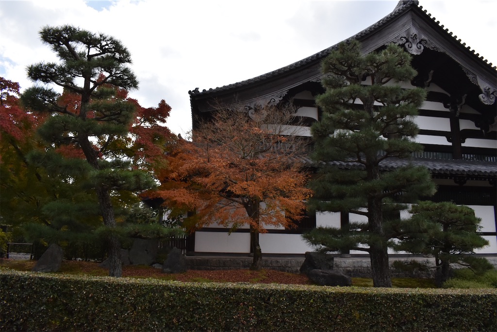 f:id:matsumotoyusuke:20210403185216j:image f:id:matsumotoyusuke:20210403185216j:image