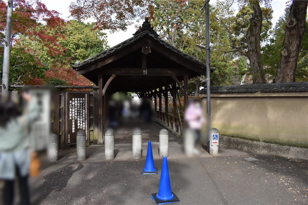 f:id:matsumotoyusuke:20210403185317j:image f:id:matsumotoyusuke:20210403185317j:image