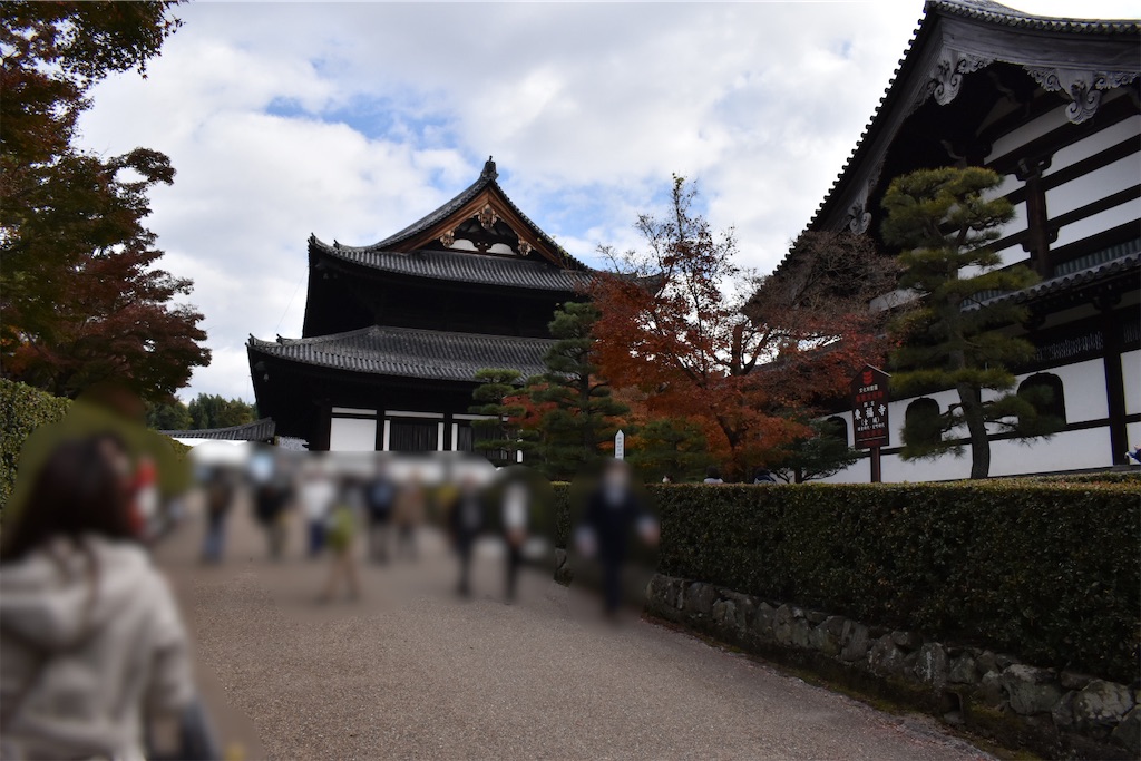 f:id:matsumotoyusuke:20210403185322j:image f:id:matsumotoyusuke:20210403185322j:image