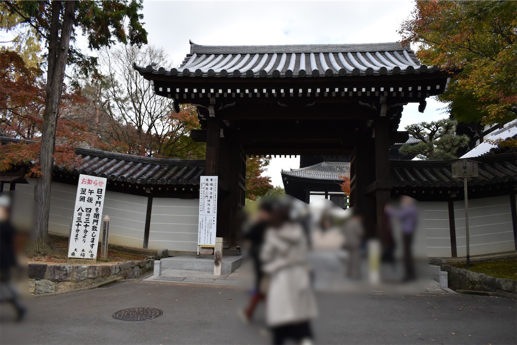 f:id:matsumotoyusuke:20210403185328j:image f:id:matsumotoyusuke:20210403185328j:image
