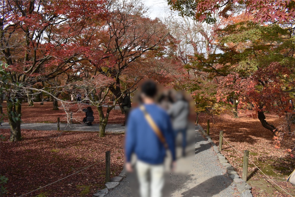 f:id:matsumotoyusuke:20210403200229j:image f:id:matsumotoyusuke:20210403200229j:image