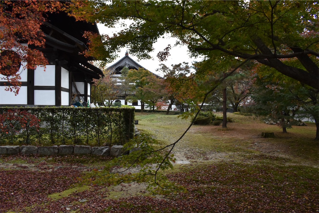 f:id:matsumotoyusuke:20210403200457j:image f:id:matsumotoyusuke:20210403200457j:image