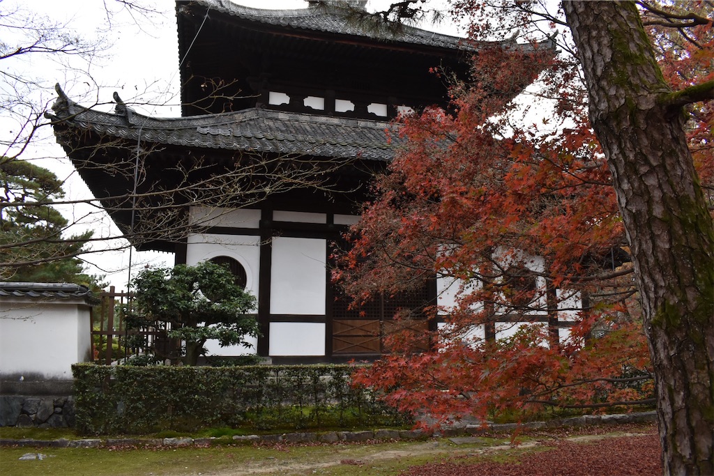 f:id:matsumotoyusuke:20210403200503j:image f:id:matsumotoyusuke:20210403200503j:image