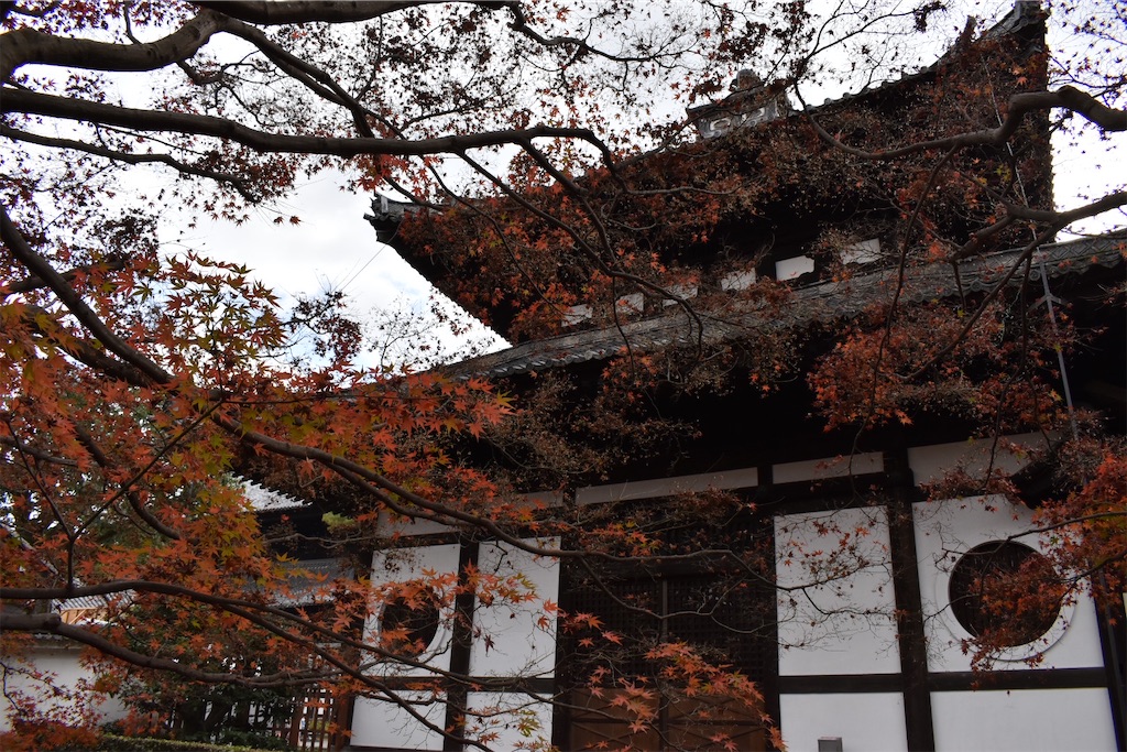 f:id:matsumotoyusuke:20210403200510j:image f:id:matsumotoyusuke:20210403200510j:image