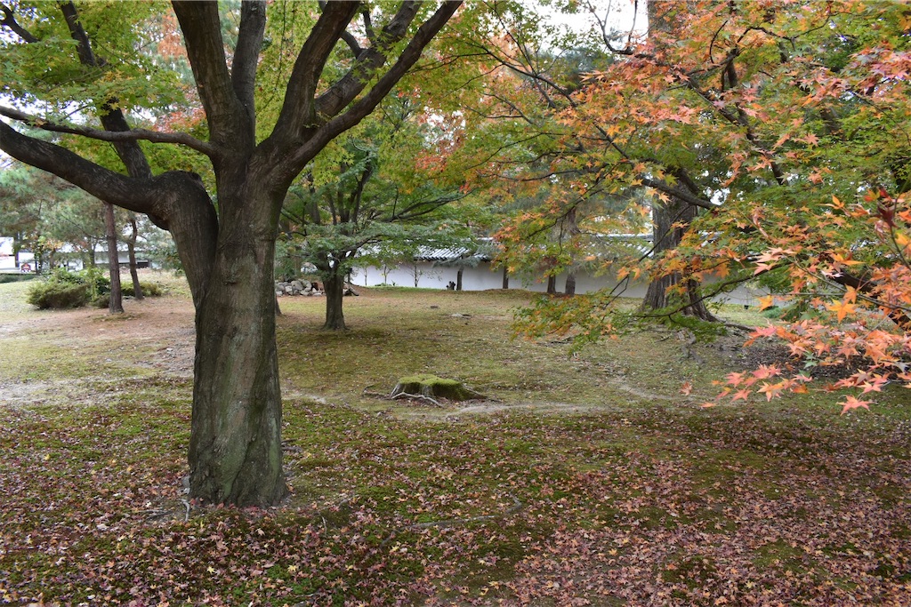 f:id:matsumotoyusuke:20210403200517j:image f:id:matsumotoyusuke:20210403200517j:image