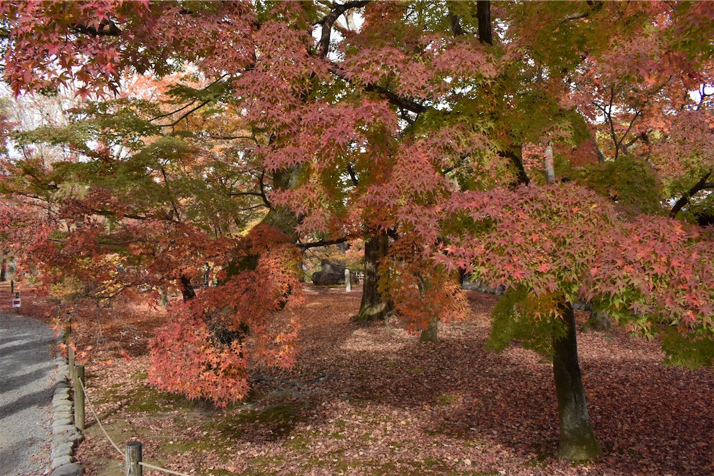 f:id:matsumotoyusuke:20210403200524j:image f:id:matsumotoyusuke:20210403200524j:image