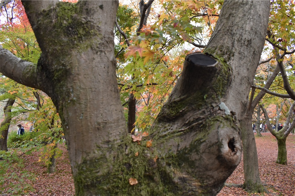 f:id:matsumotoyusuke:20210403200530j:image f:id:matsumotoyusuke:20210403200530j:image