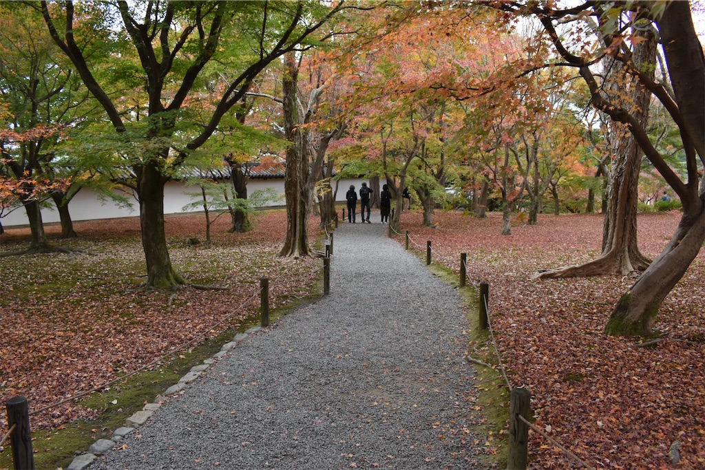 f:id:matsumotoyusuke:20210403200537j:image f:id:matsumotoyusuke:20210403200537j:image