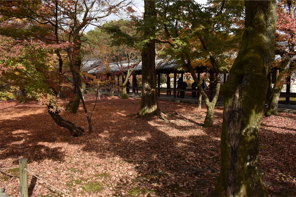 f:id:matsumotoyusuke:20210403200543j:image f:id:matsumotoyusuke:20210403200543j:image