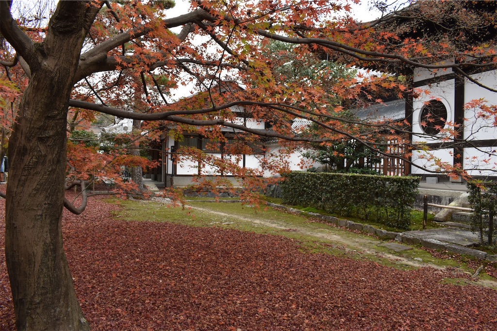 f:id:matsumotoyusuke:20210403200551j:image f:id:matsumotoyusuke:20210403200551j:image
