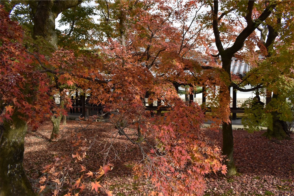 f:id:matsumotoyusuke:20210403200557j:image f:id:matsumotoyusuke:20210403200557j:image