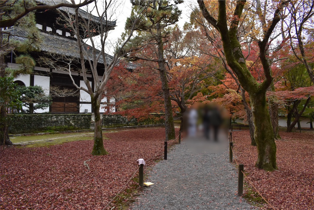 f:id:matsumotoyusuke:20210403200611j:image f:id:matsumotoyusuke:20210403200611j:image