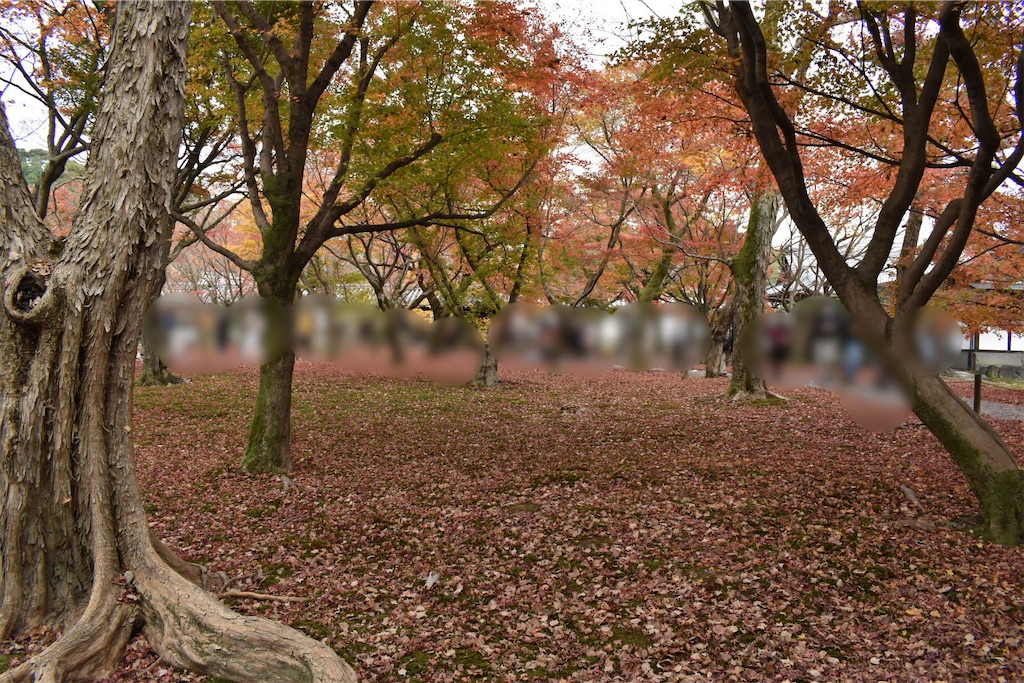 f:id:matsumotoyusuke:20210403200622j:image f:id:matsumotoyusuke:20210403200622j:image