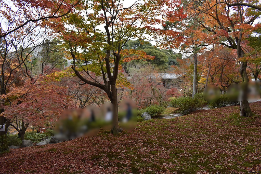 f:id:matsumotoyusuke:20210403200631j:image f:id:matsumotoyusuke:20210403200631j:image