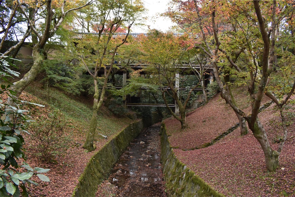 f:id:matsumotoyusuke:20210403201412j:image f:id:matsumotoyusuke:20210403201412j:image
