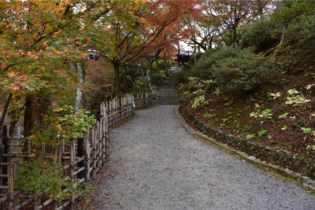 f:id:matsumotoyusuke:20210403202003j:image f:id:matsumotoyusuke:20210403202003j:image