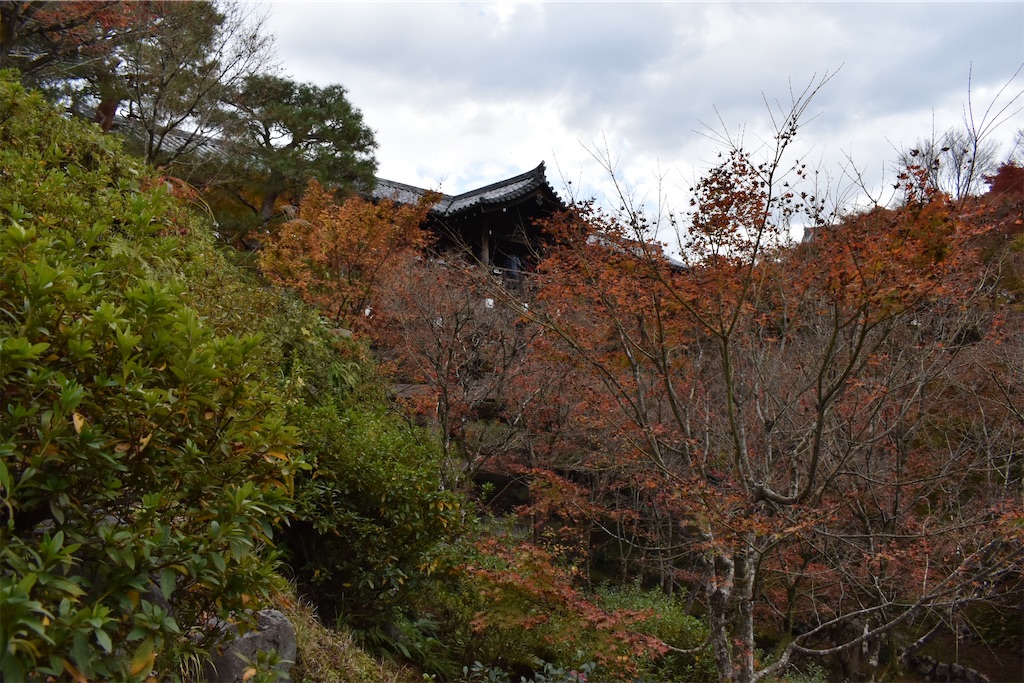 f:id:matsumotoyusuke:20210403202009j:image f:id:matsumotoyusuke:20210403202009j:image