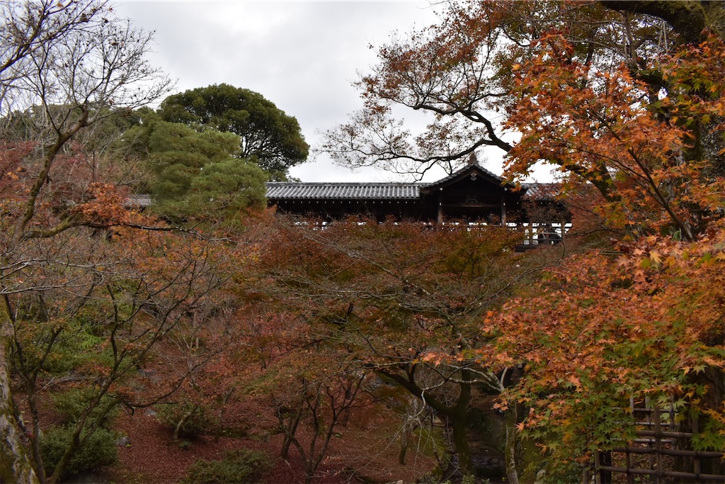 f:id:matsumotoyusuke:20210403202023j:image f:id:matsumotoyusuke:20210403202023j:image
