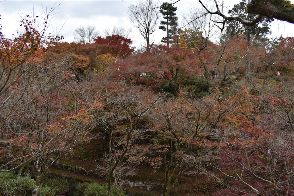 f:id:matsumotoyusuke:20210403202056j:image f:id:matsumotoyusuke:20210403202056j:image