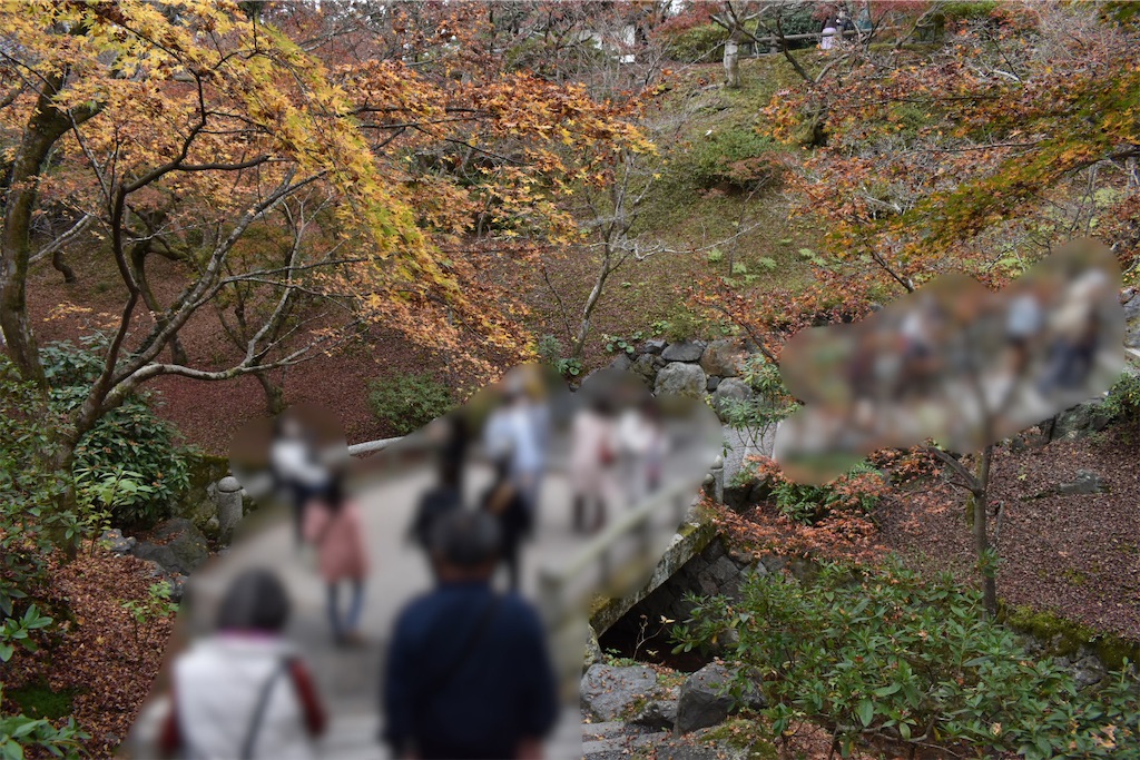 f:id:matsumotoyusuke:20210403202104j:image f:id:matsumotoyusuke:20210403202104j:image