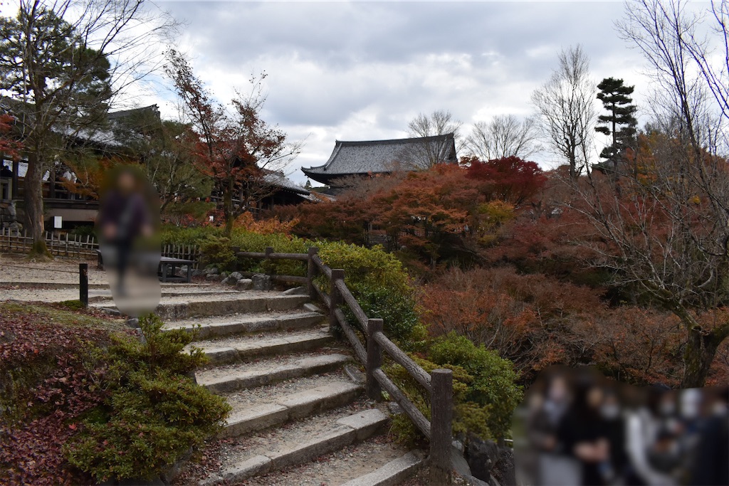 f:id:matsumotoyusuke:20210403202110j:image f:id:matsumotoyusuke:20210403202110j:image