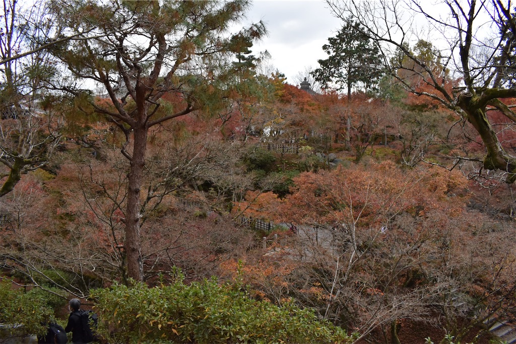 f:id:matsumotoyusuke:20210403202200j:image f:id:matsumotoyusuke:20210403202200j:image