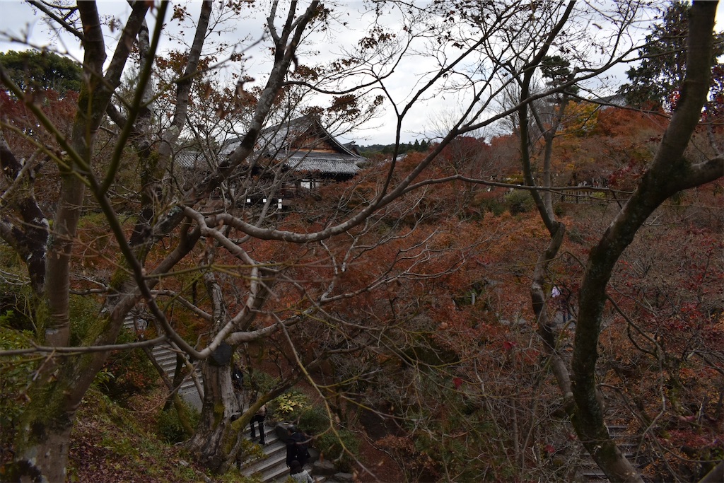f:id:matsumotoyusuke:20210403202216j:image f:id:matsumotoyusuke:20210403202216j:image