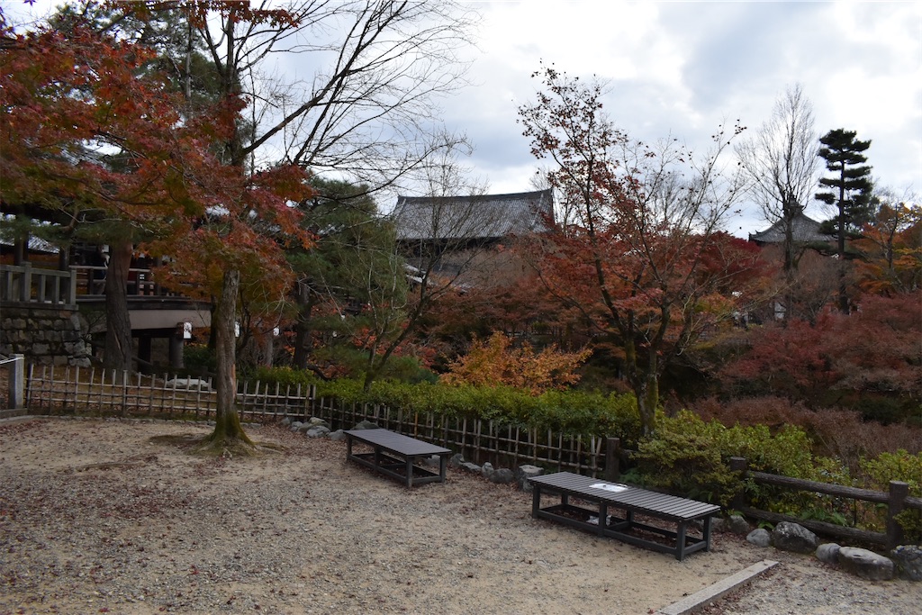 f:id:matsumotoyusuke:20210403202222j:image f:id:matsumotoyusuke:20210403202222j:image