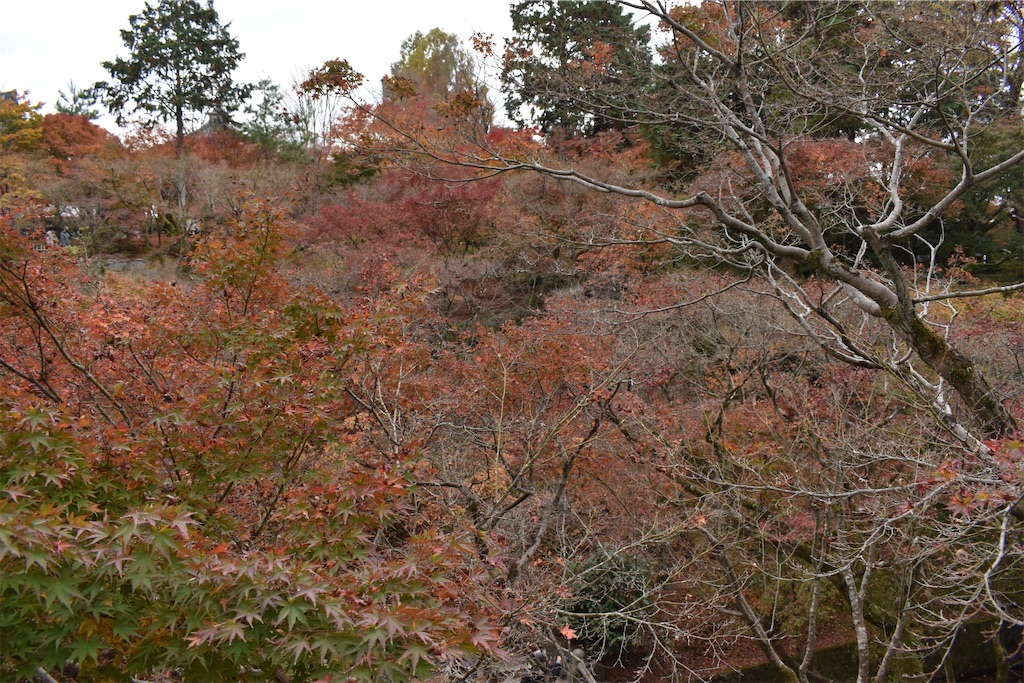 f:id:matsumotoyusuke:20210403202236j:image f:id:matsumotoyusuke:20210403202236j:image