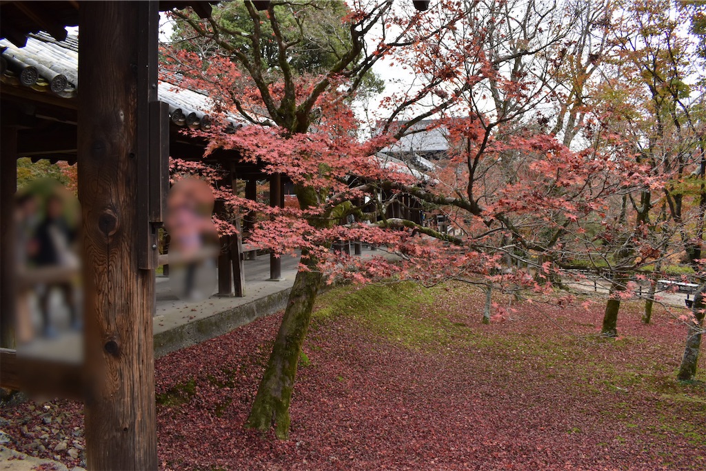f:id:matsumotoyusuke:20210403202251j:image f:id:matsumotoyusuke:20210403202251j:image