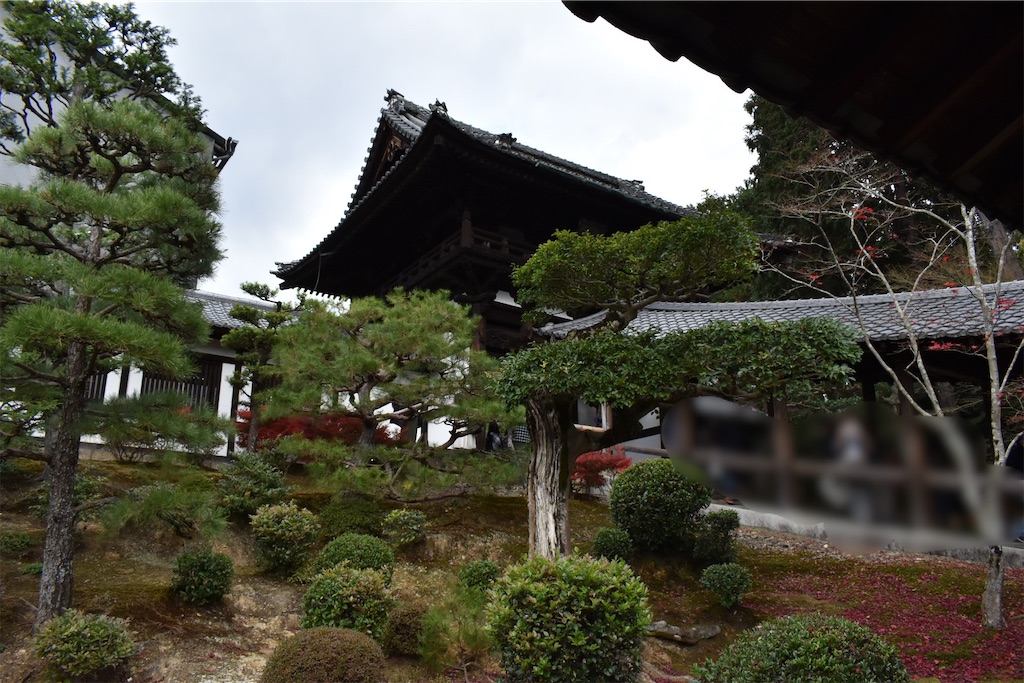 f:id:matsumotoyusuke:20210403202259j:image f:id:matsumotoyusuke:20210403202259j:image