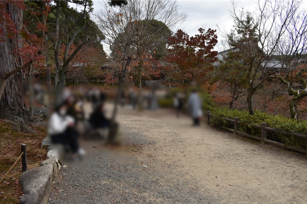 f:id:matsumotoyusuke:20210403202319j:image f:id:matsumotoyusuke:20210403202319j:image