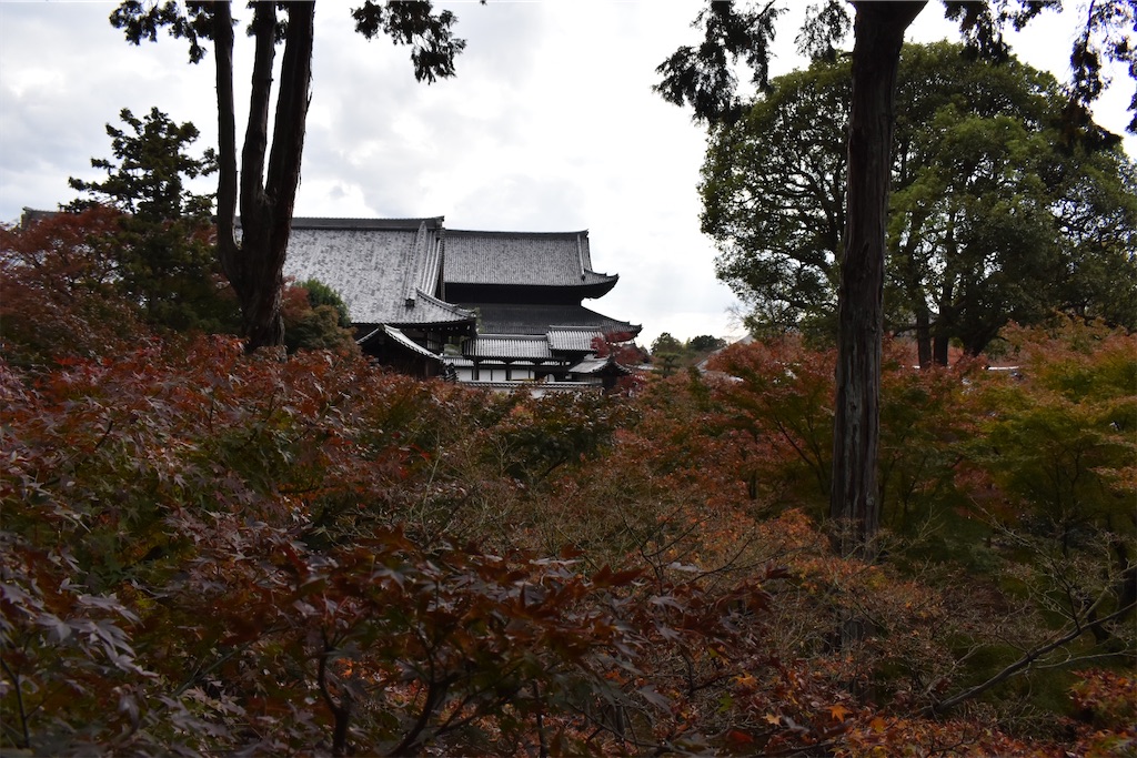 f:id:matsumotoyusuke:20210403203236j:image f:id:matsumotoyusuke:20210403203236j:image